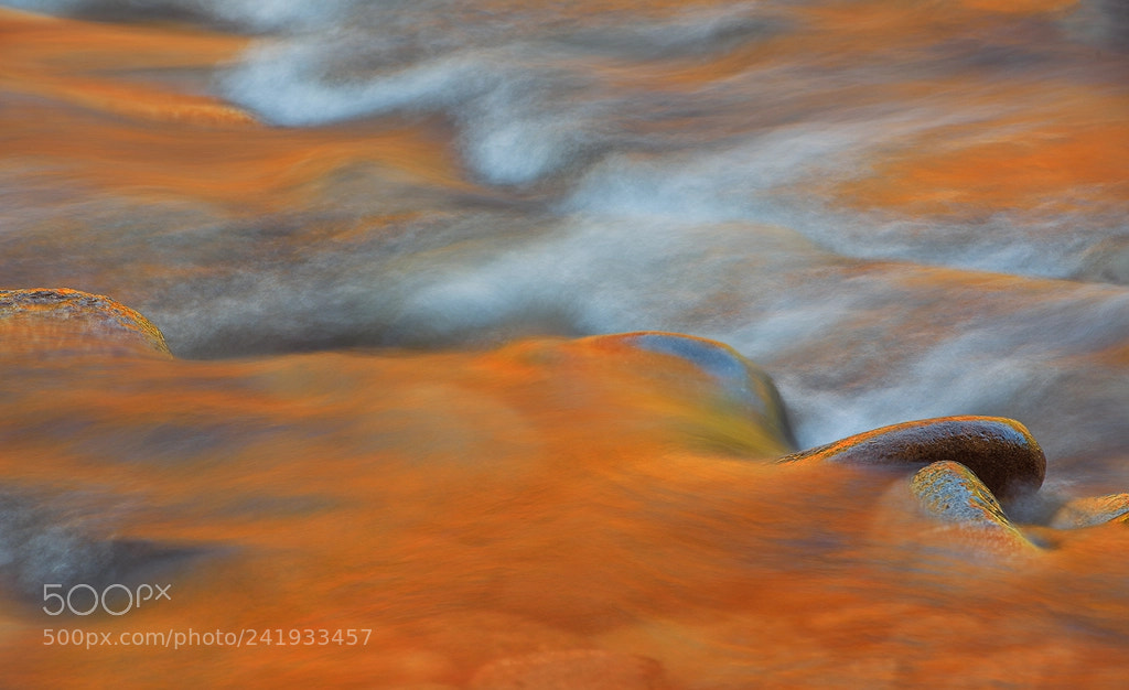Nikon D810 sample photo. Fall reflections photography