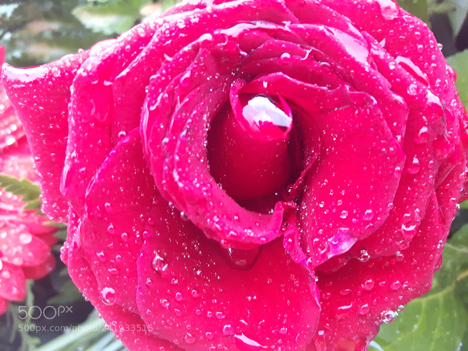 Samsung Galaxy S5 Neo sample photo. Untitled photography