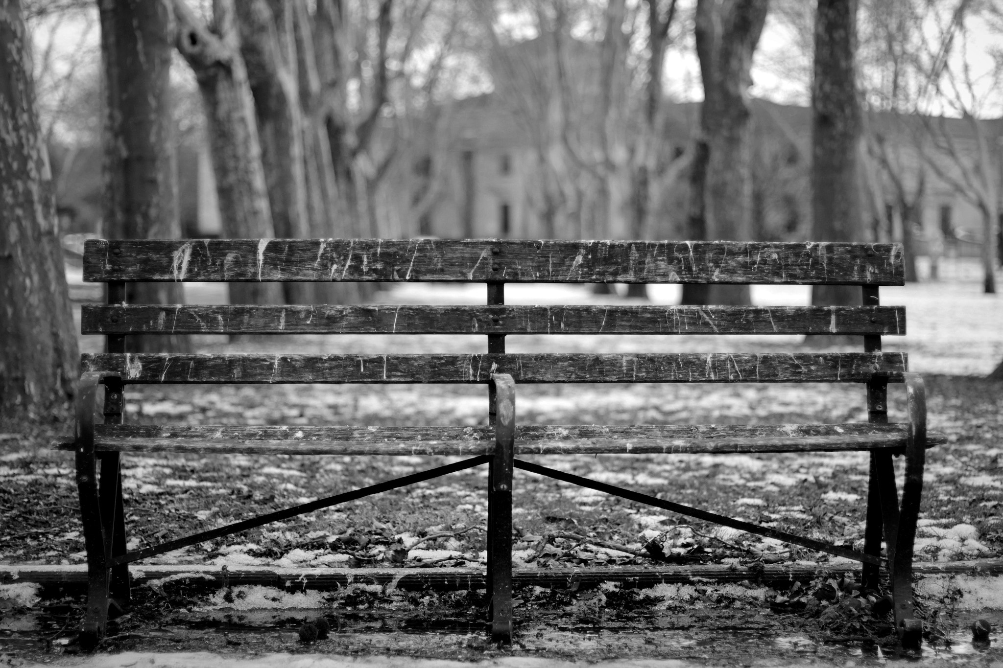 Canon EOS 550D (EOS Rebel T2i / EOS Kiss X4) sample photo. Winter's tale photography
