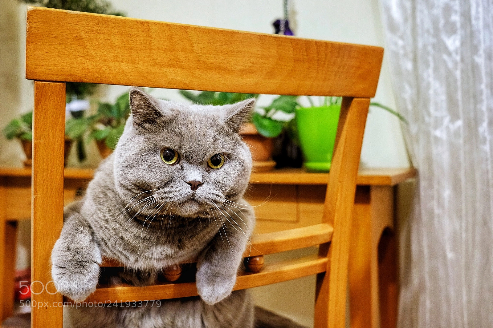 Fujifilm X-T20 sample photo. What’s up? photography