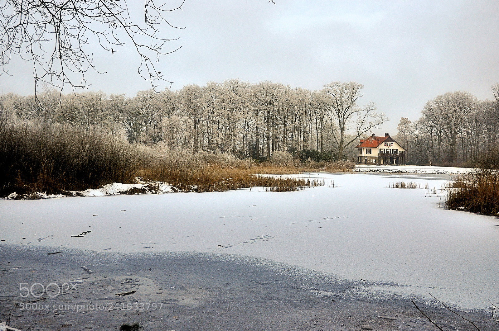 Nikon D90 sample photo. Winter photography