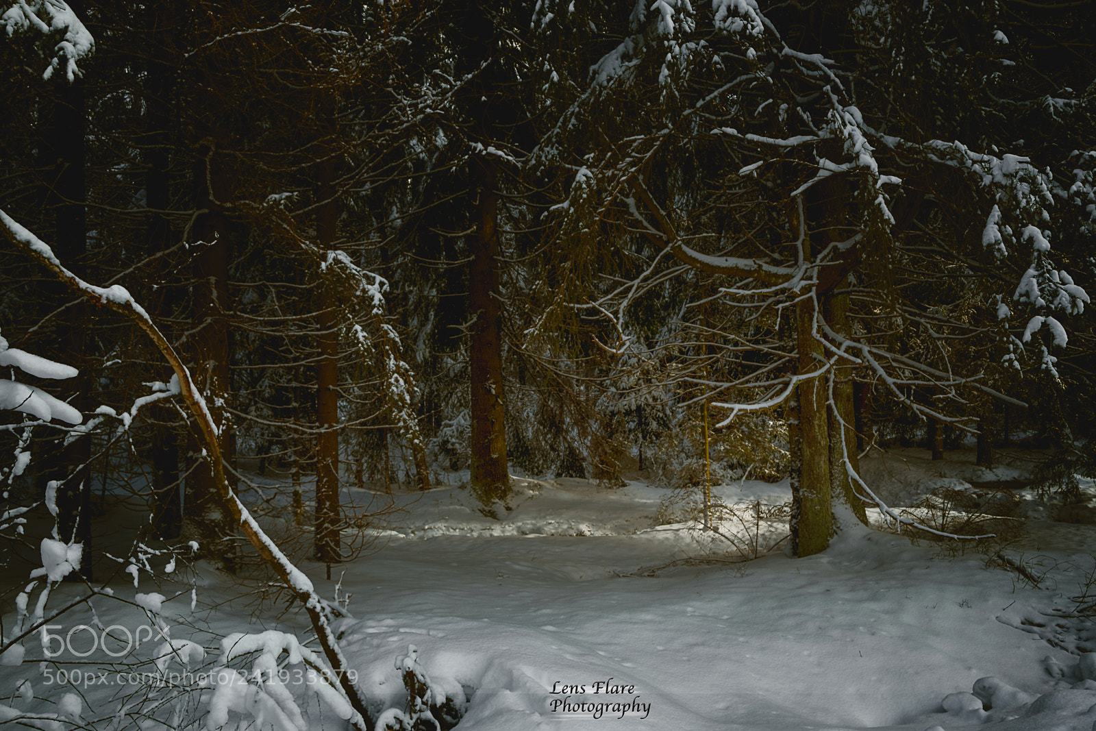 Nikon D7200 sample photo. Moments of winter photography