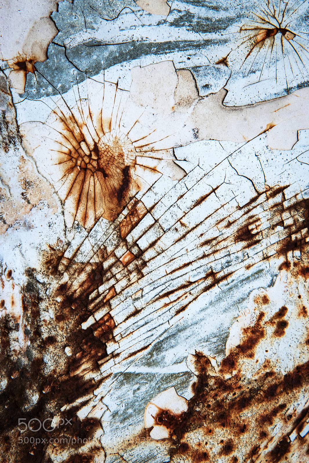 Nikon D5500 sample photo. Abstract surface of old photography