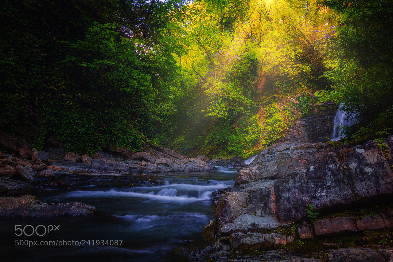 Nikon D7200 sample photo. Waterfall in sochi photography