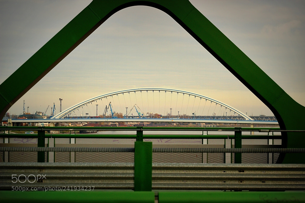 Canon EOS 600D (Rebel EOS T3i / EOS Kiss X5) + Canon EF 50mm F1.8 II sample photo. Apollo bridge photography