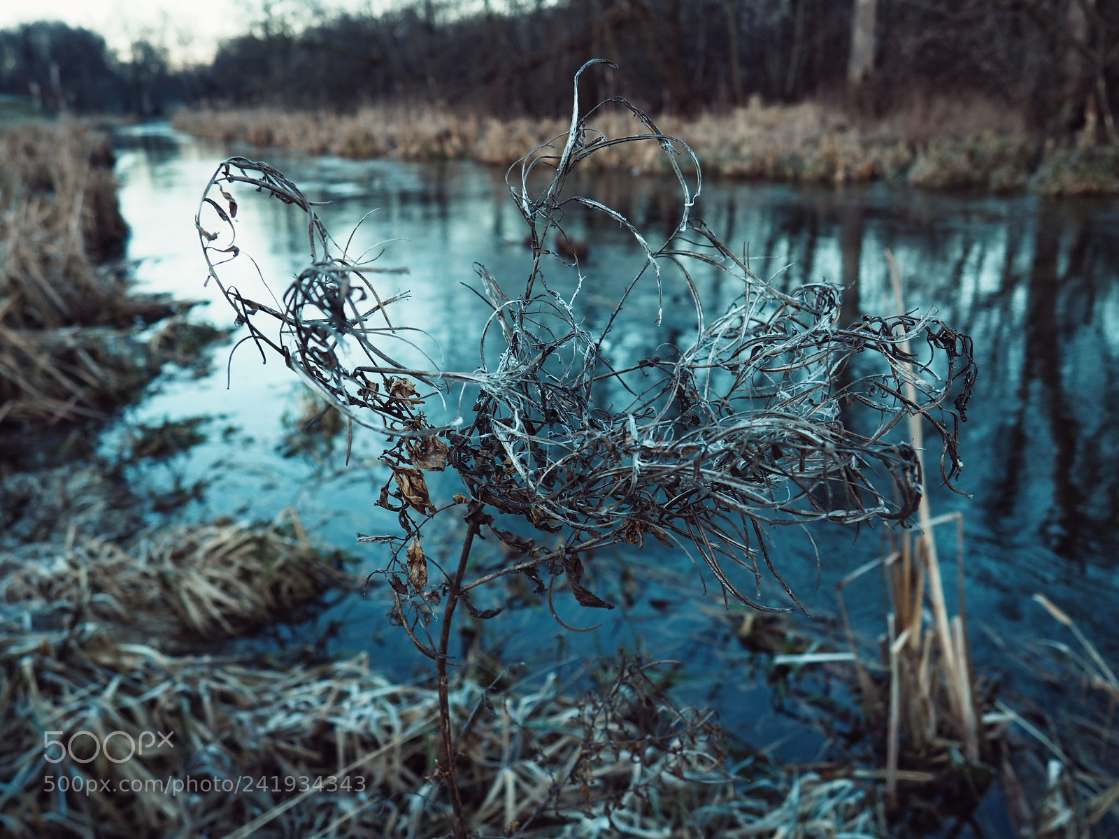 Olympus OM-D E-M10 sample photo. River photography