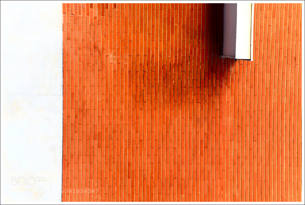 Nikon D700 sample photo. A facade (tilted clockwise) photography