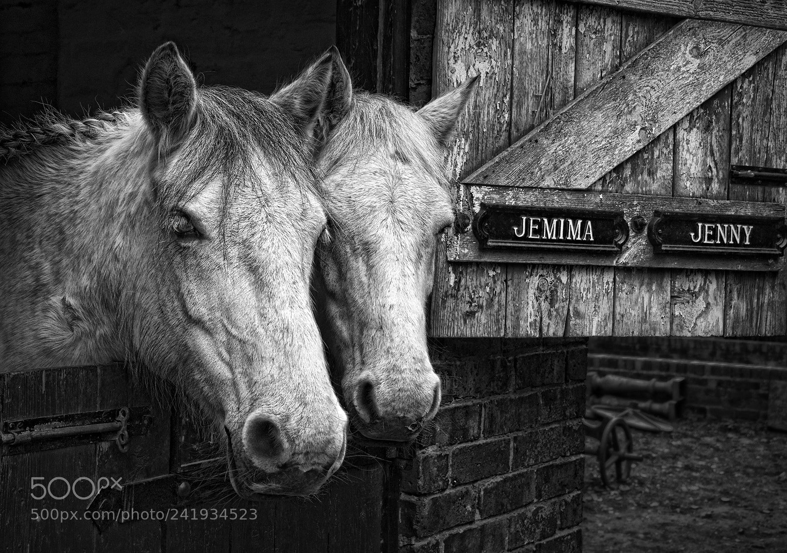 Sony Alpha DSLR-A700 sample photo. Jemima and jenny photography