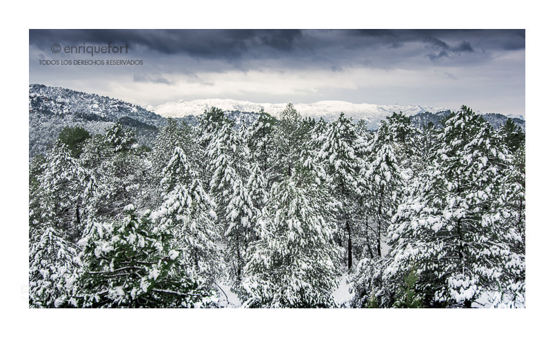 Nikon D7100 sample photo. Sierra de segura photography