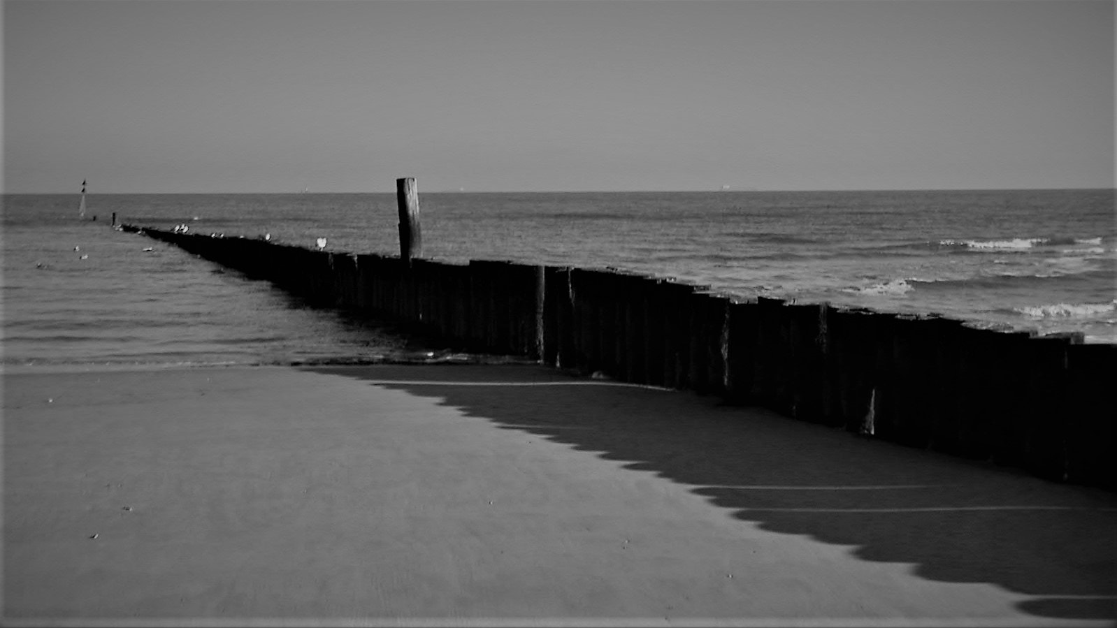 KONICA MINOLTA DiMAGE X sample photo. Line photography