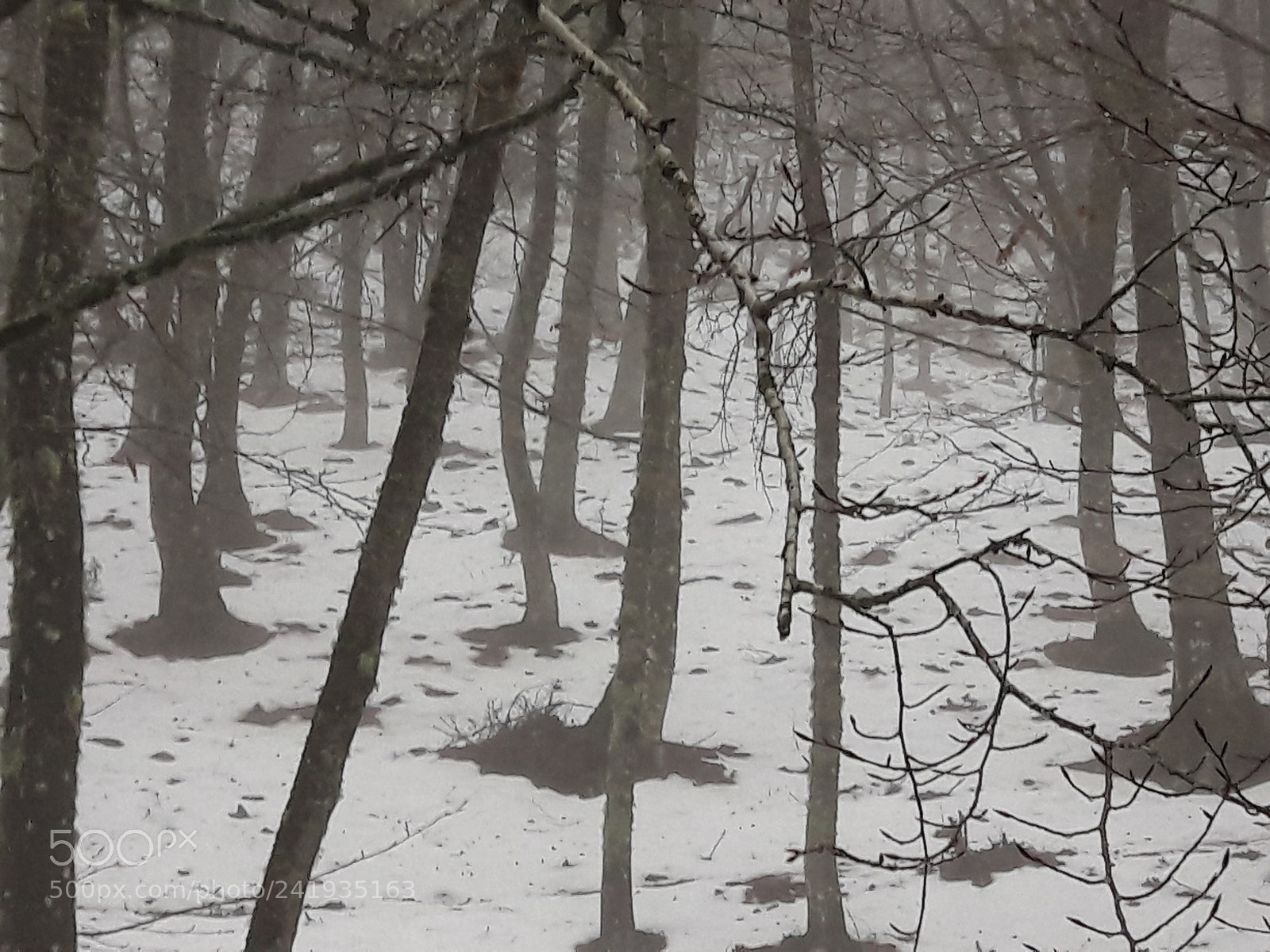 Samsung Galaxy A5(2016) sample photo. Inverno photography