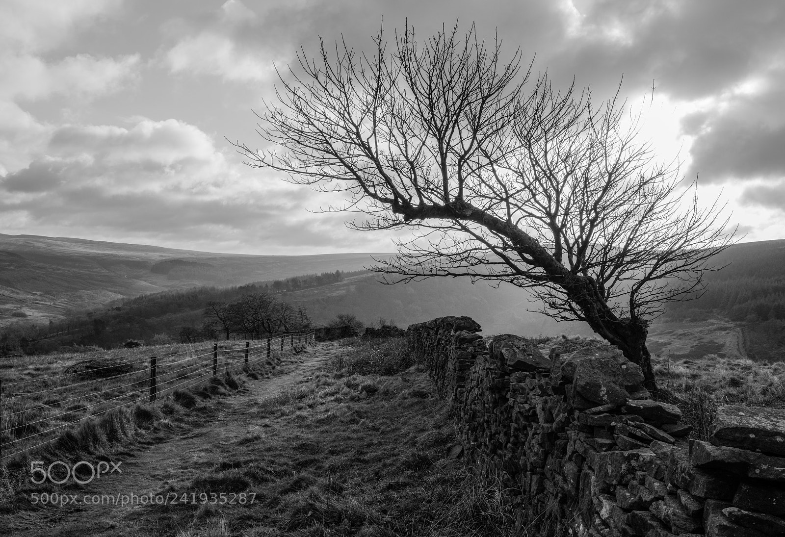 Nikon D850 sample photo. B&w photography