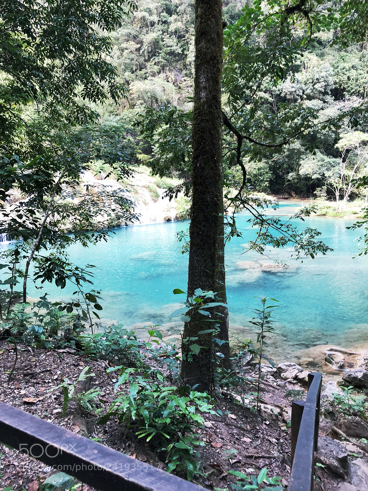Apple iPhone 8 Plus sample photo. The river in guatemala photography