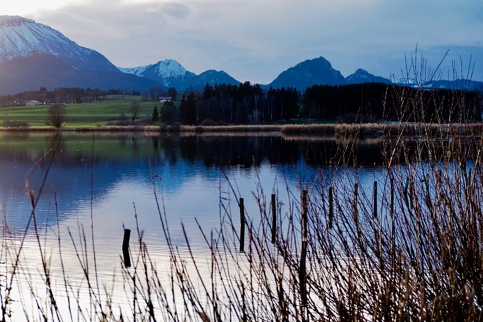 Olympus OM-D E-M5 II sample photo. Lakeview bavaria photography