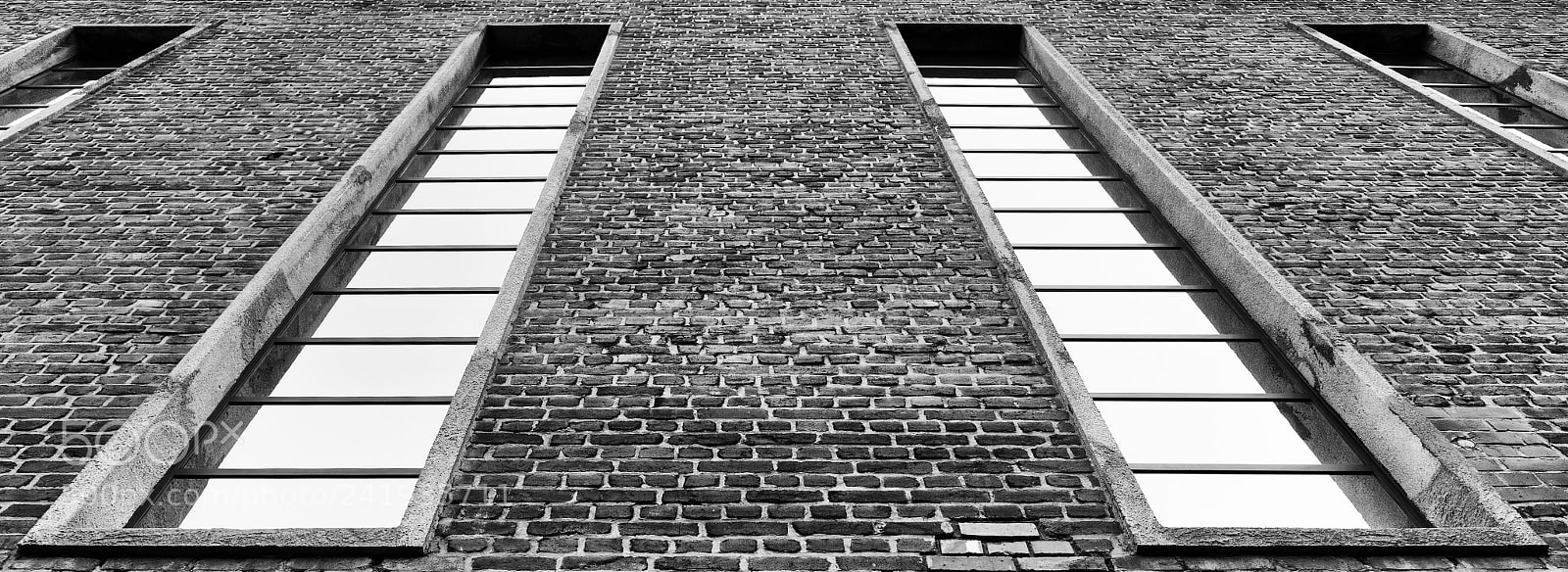 Nikon D810 sample photo. Windows photography