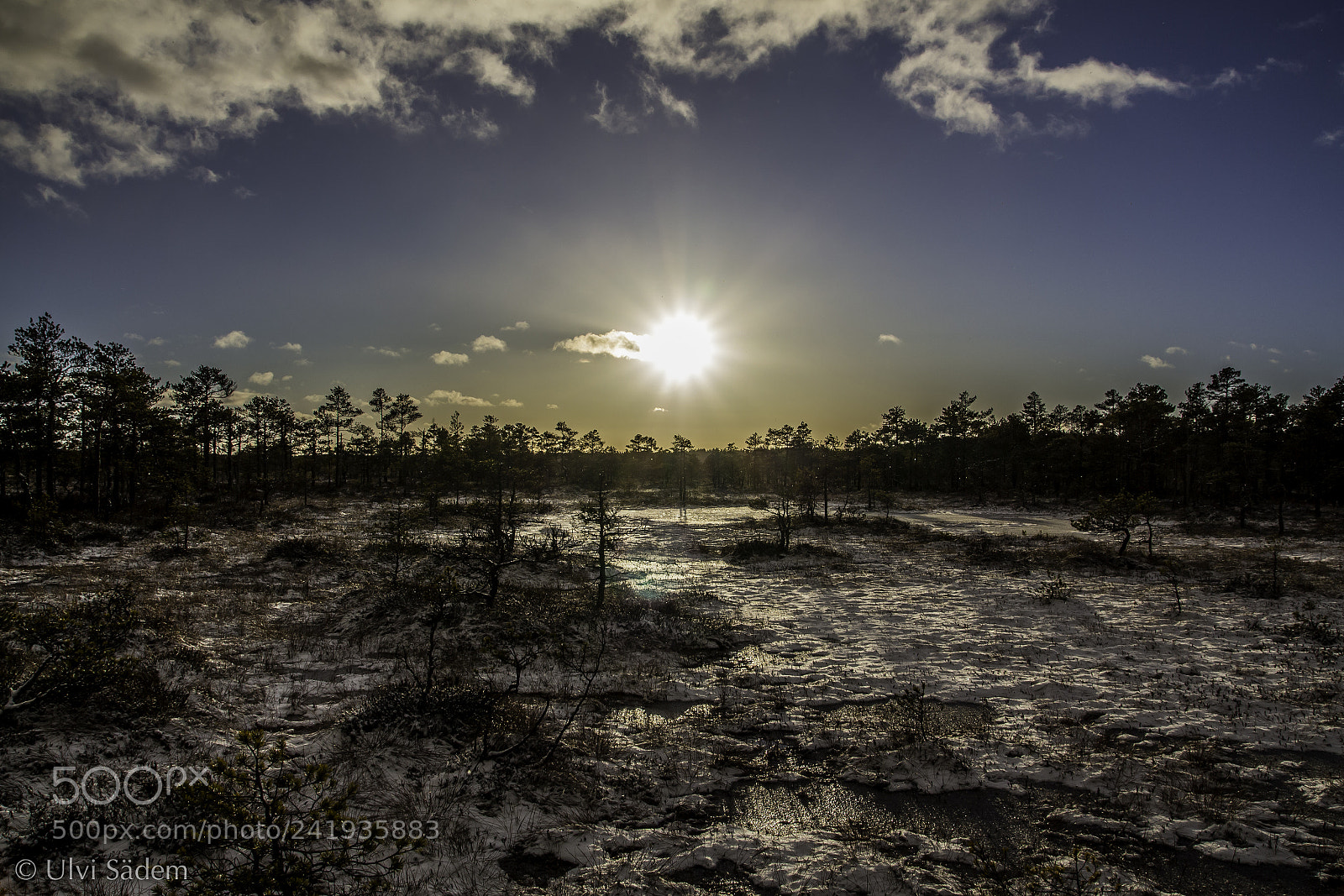 Canon EOS 650D (EOS Rebel T4i / EOS Kiss X6i) sample photo. Snowy bog photography