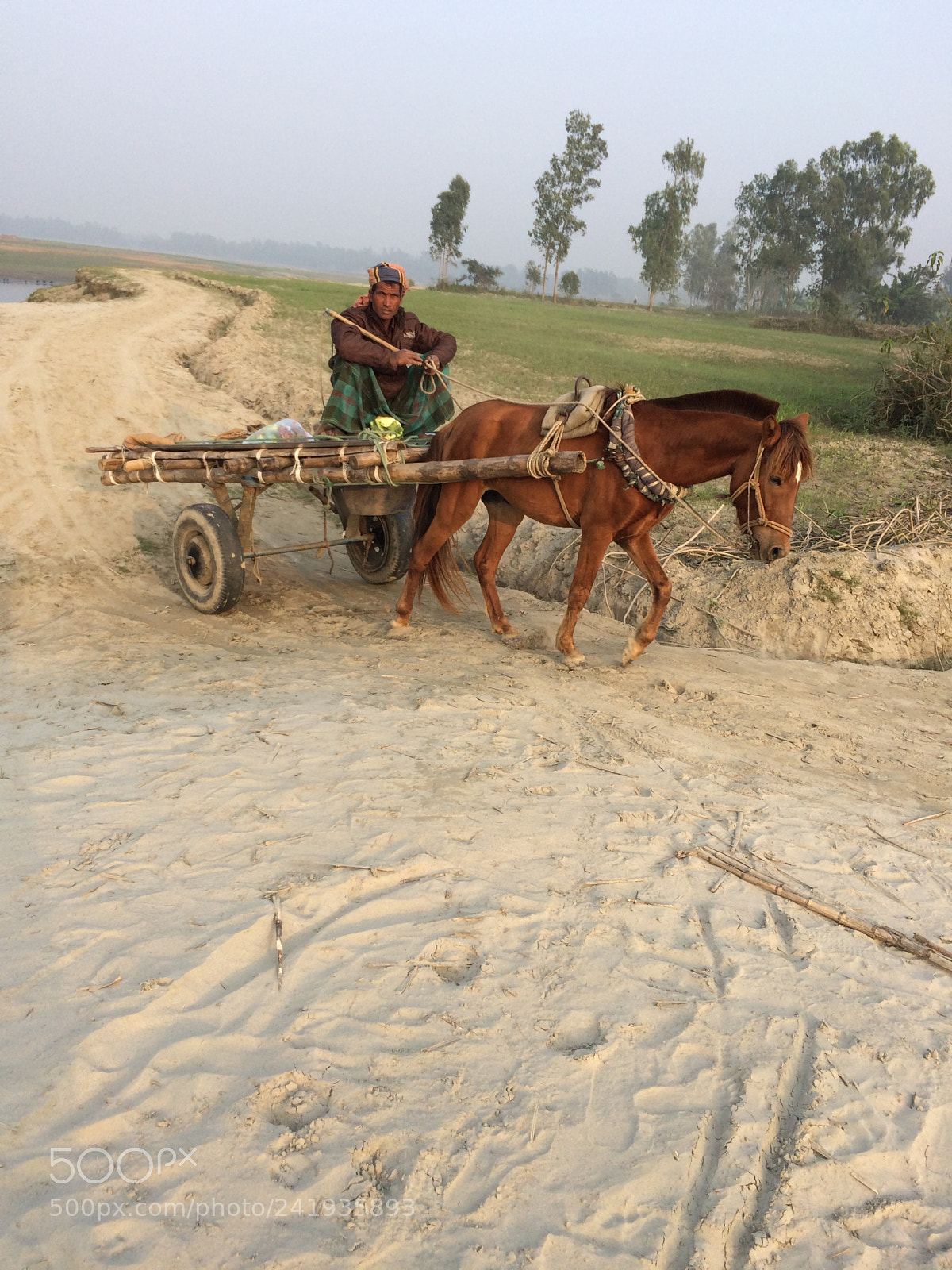 Apple iPhone 5s sample photo. Winter in bangladesh photography