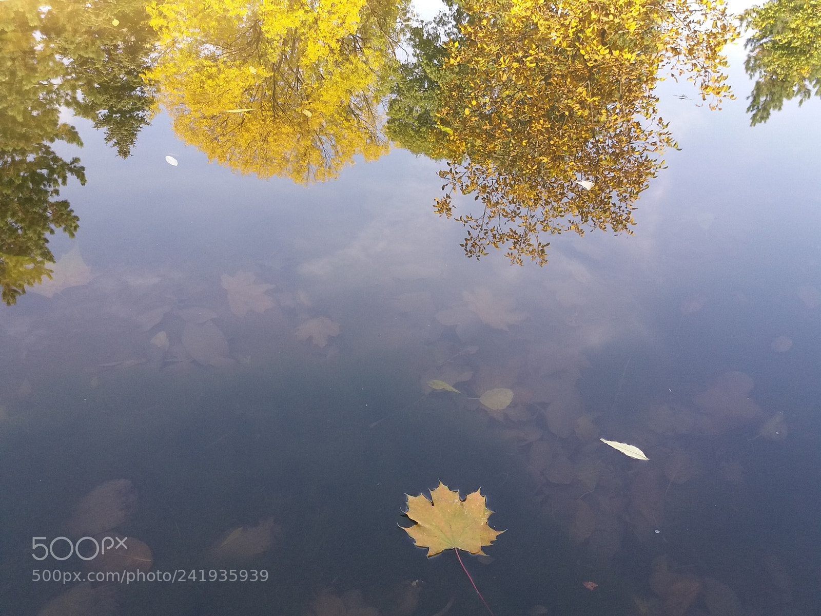 Samsung Galaxy J5(2016) sample photo. Autumn in park photography