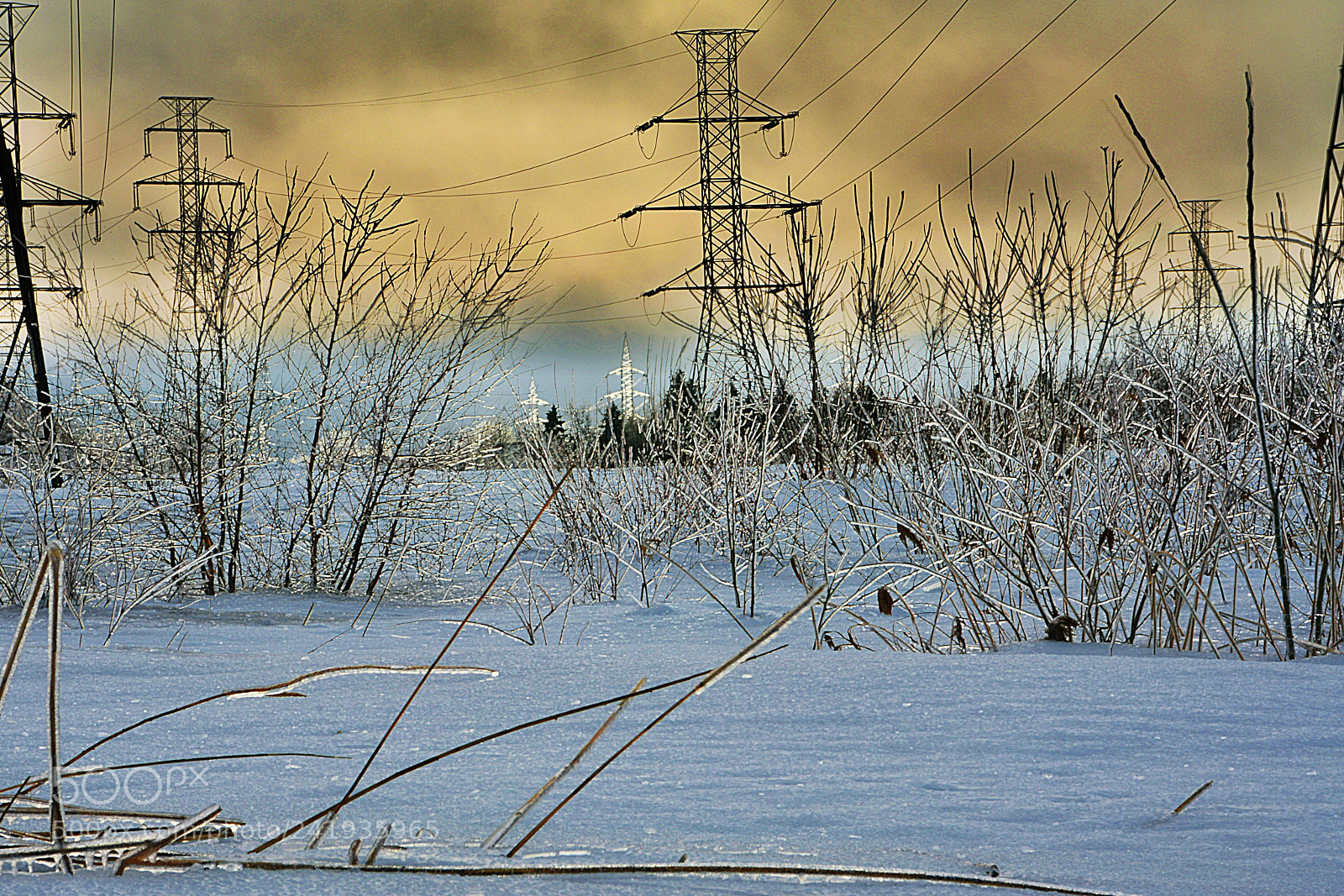 Nikon D7100 sample photo. Verglas photography