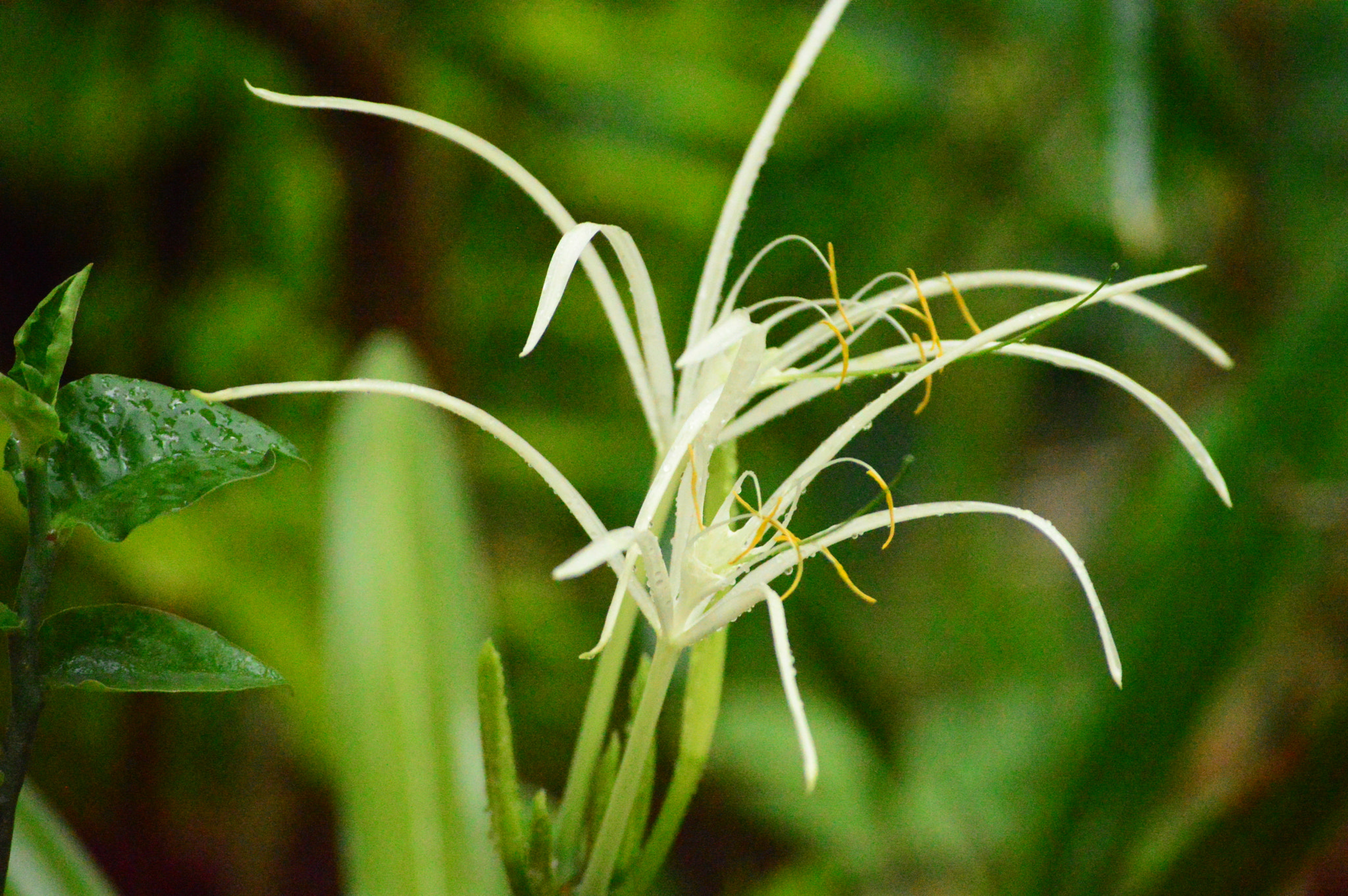 Nikon D3200 sample photo