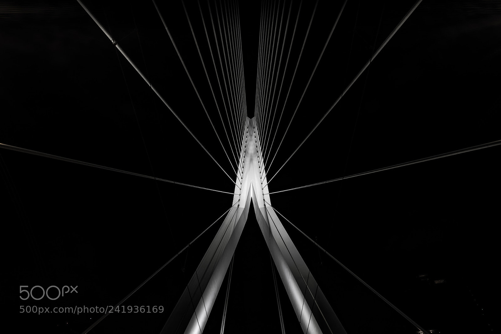 Sony a7 II sample photo. Erasmus bridge detail rotterdam photography