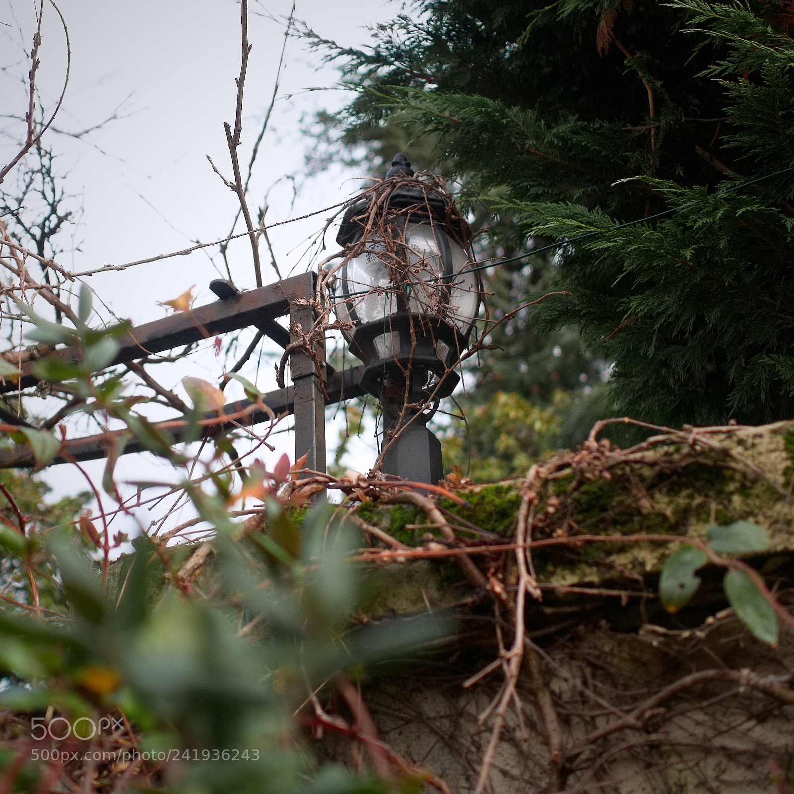 Panasonic Lumix DMC-GX85 (Lumix DMC-GX80 / Lumix DMC-GX7 Mark II) sample photo. Il était une fois... photography