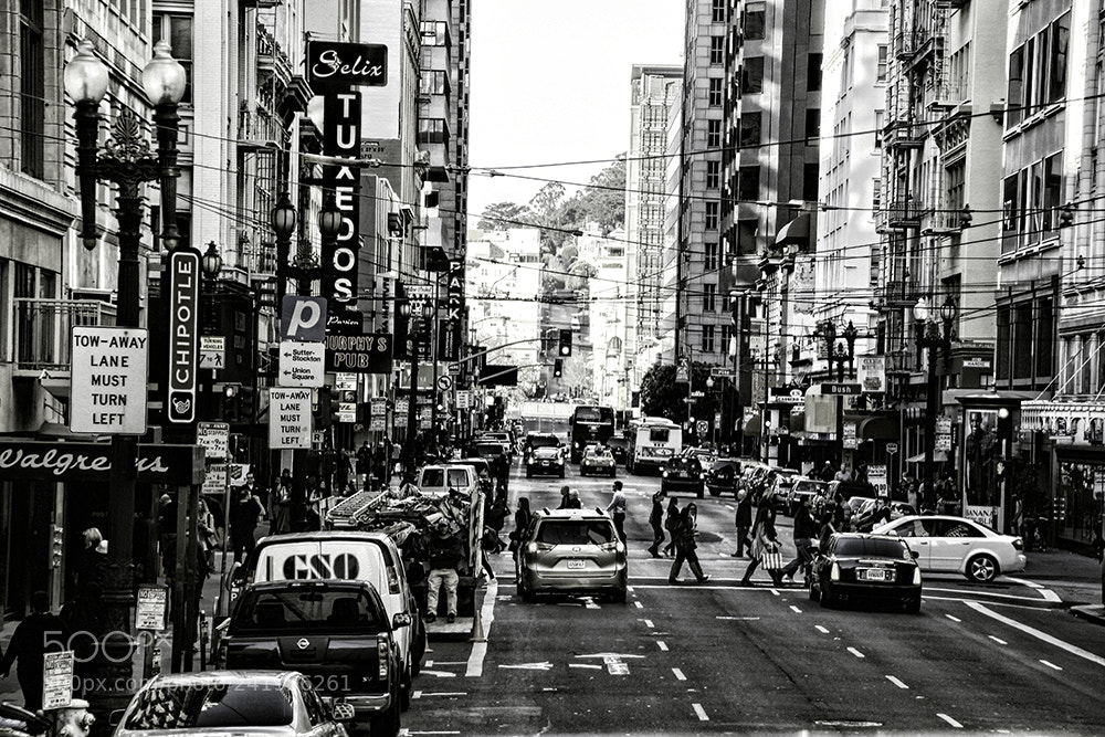Canon EOS 650D (EOS Rebel T4i / EOS Kiss X6i) sample photo. Frisco photography