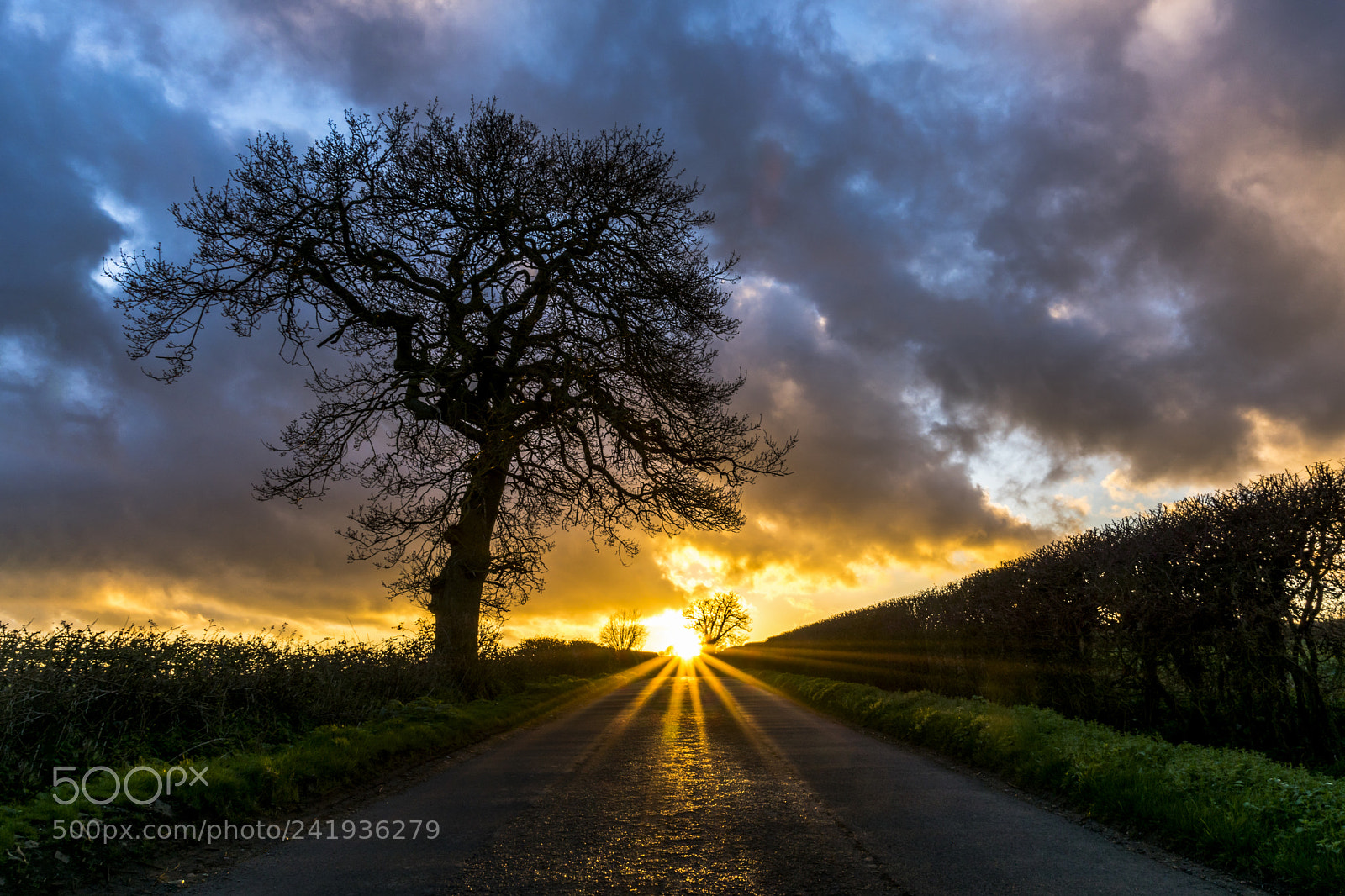 Sony ILCA-77M2 sample photo. Oxfordshire road at sunset photography