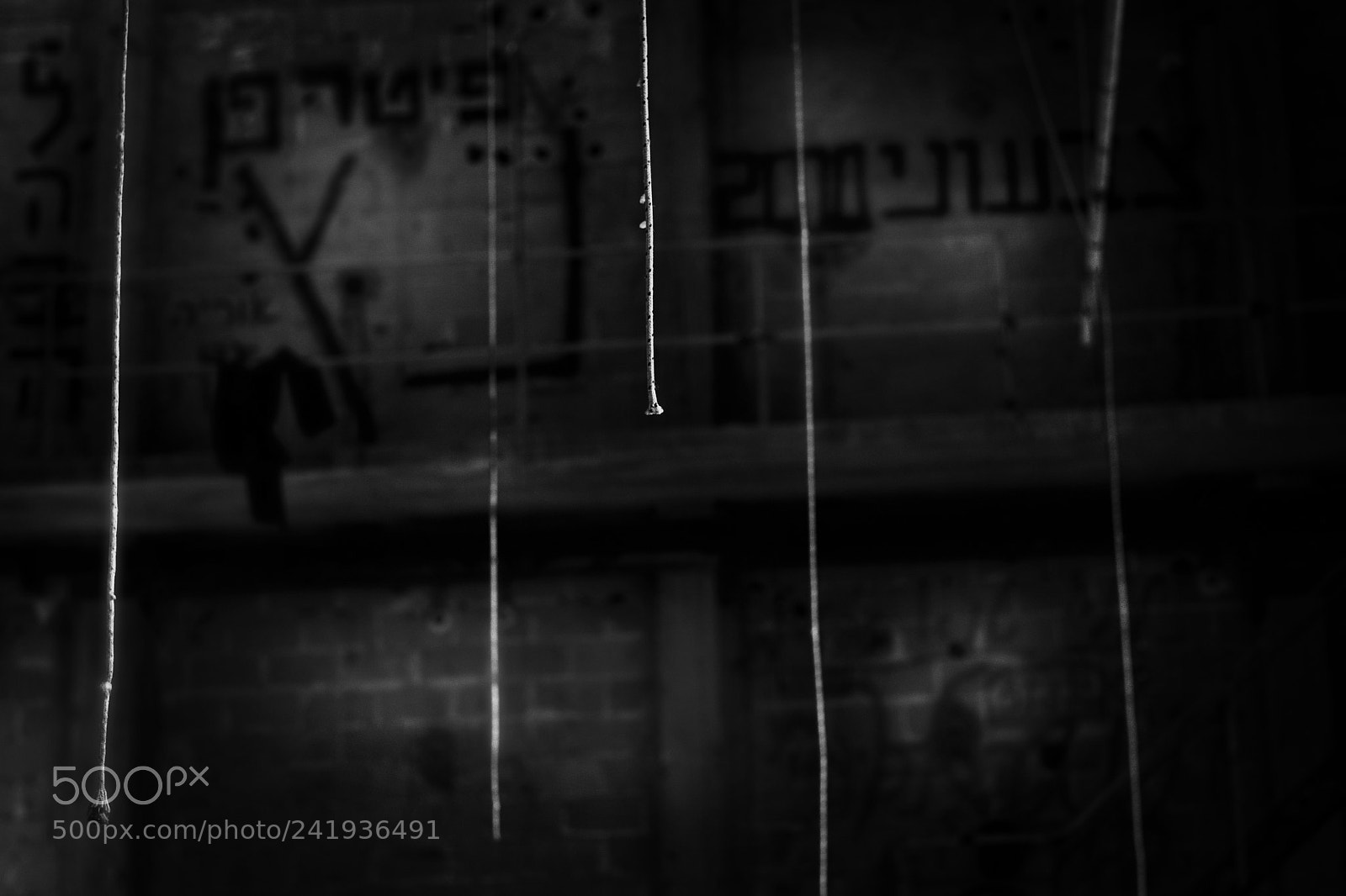 Fujifilm X-T2 sample photo. Mystery photography