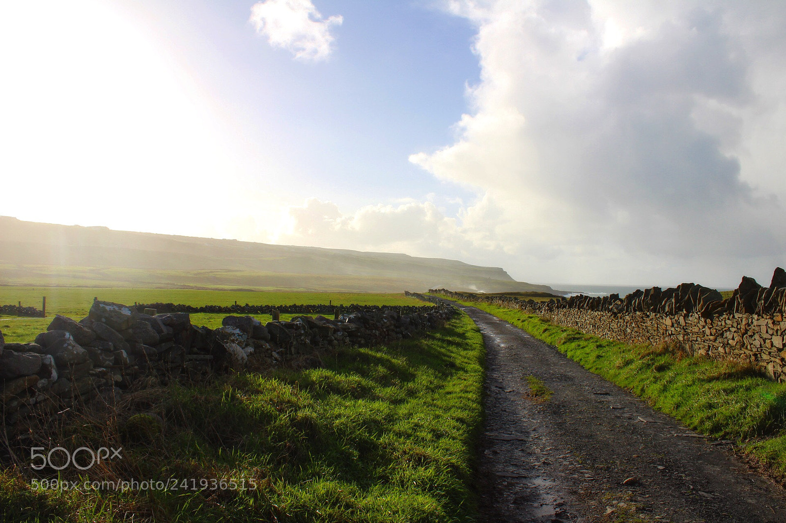 Canon EOS 1300D (EOS Rebel T6 / EOS Kiss X80) sample photo. Ireland photography