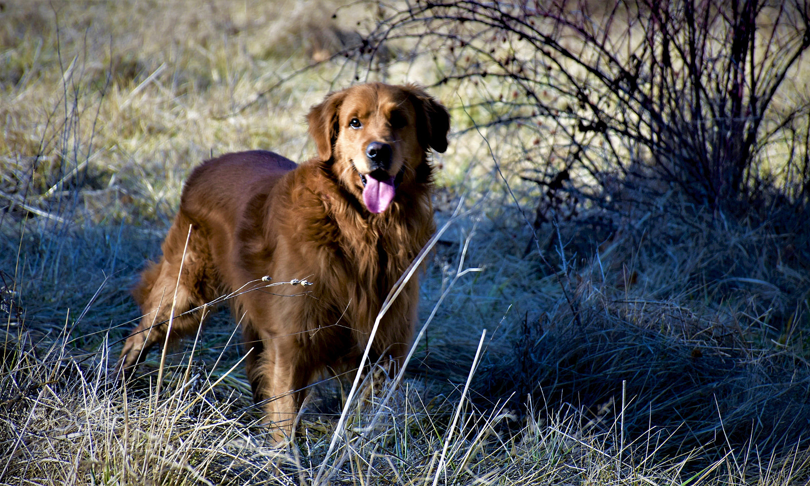Nikon D7200 sample photo. Happy humans friend photography