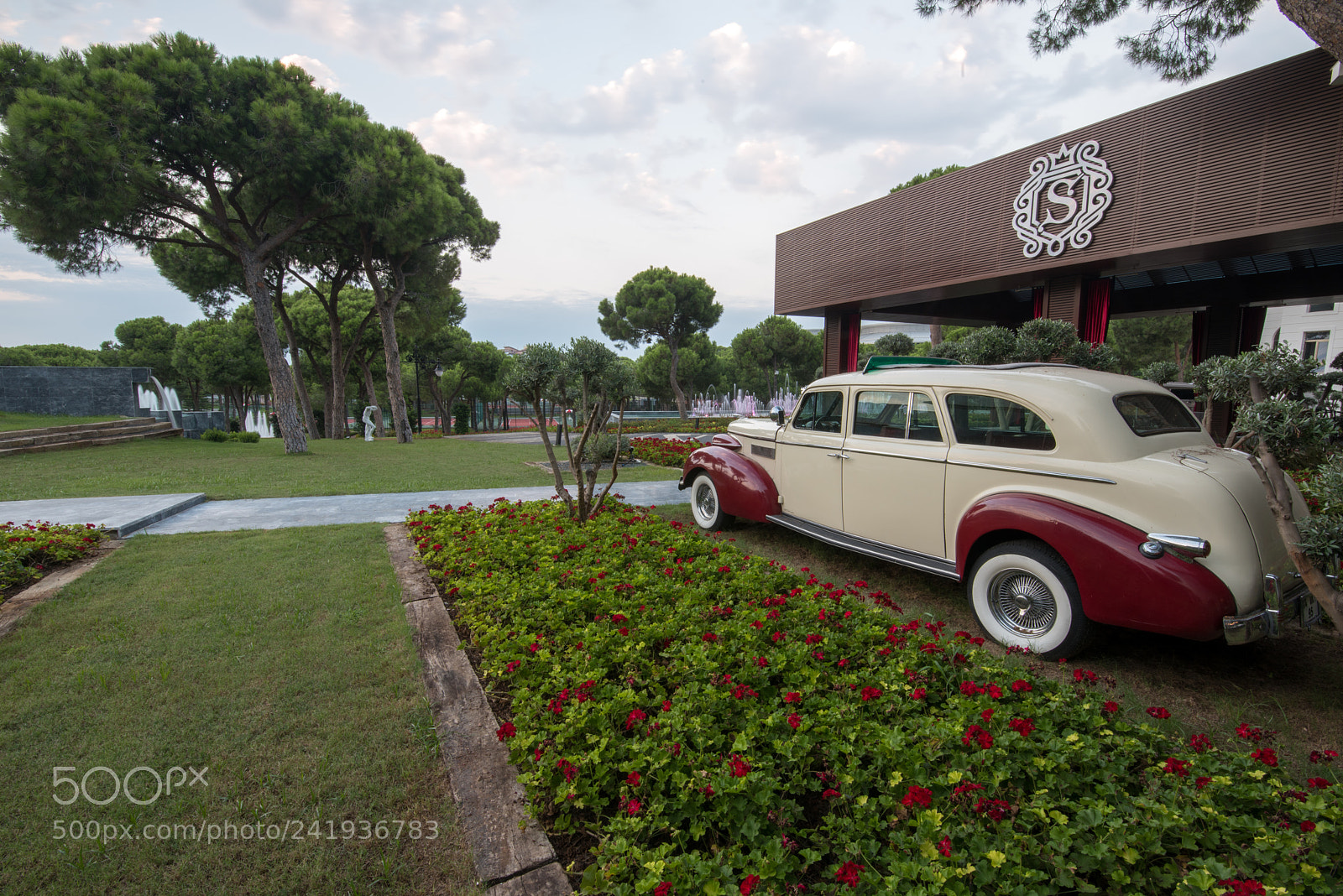 Nikon D810 sample photo. Selectum luxury photography