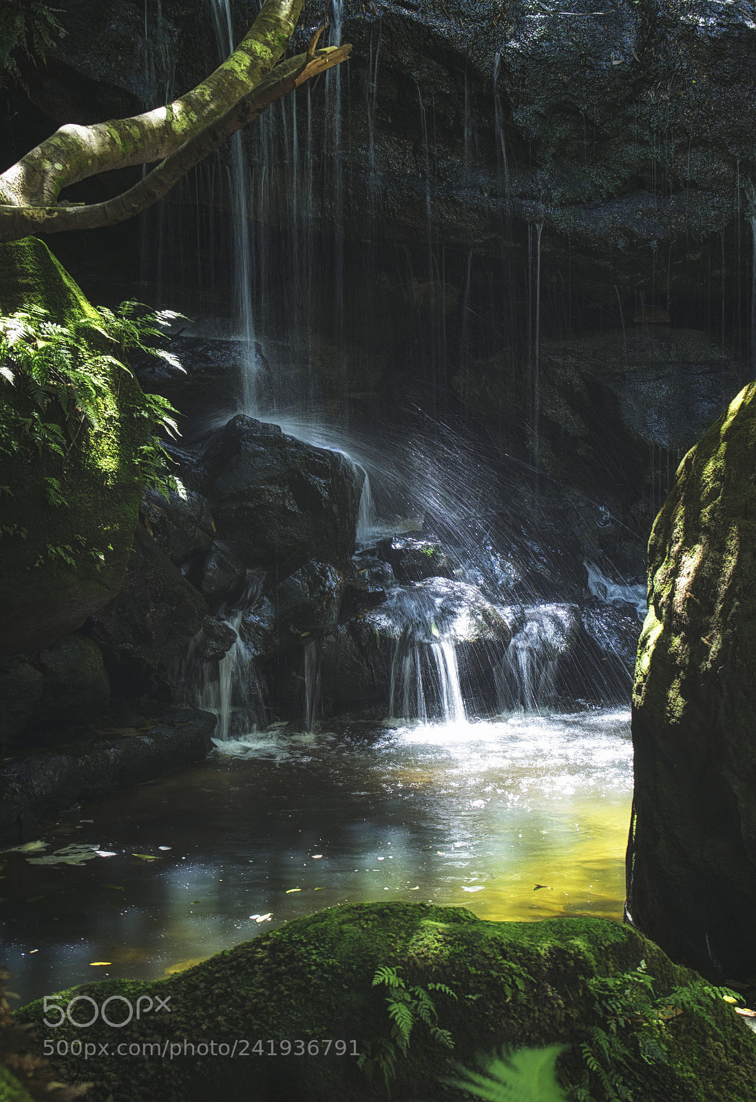 Canon EOS 750D (EOS Rebel T6i / EOS Kiss X8i) sample photo. Rainforest chill pt. 3. photography