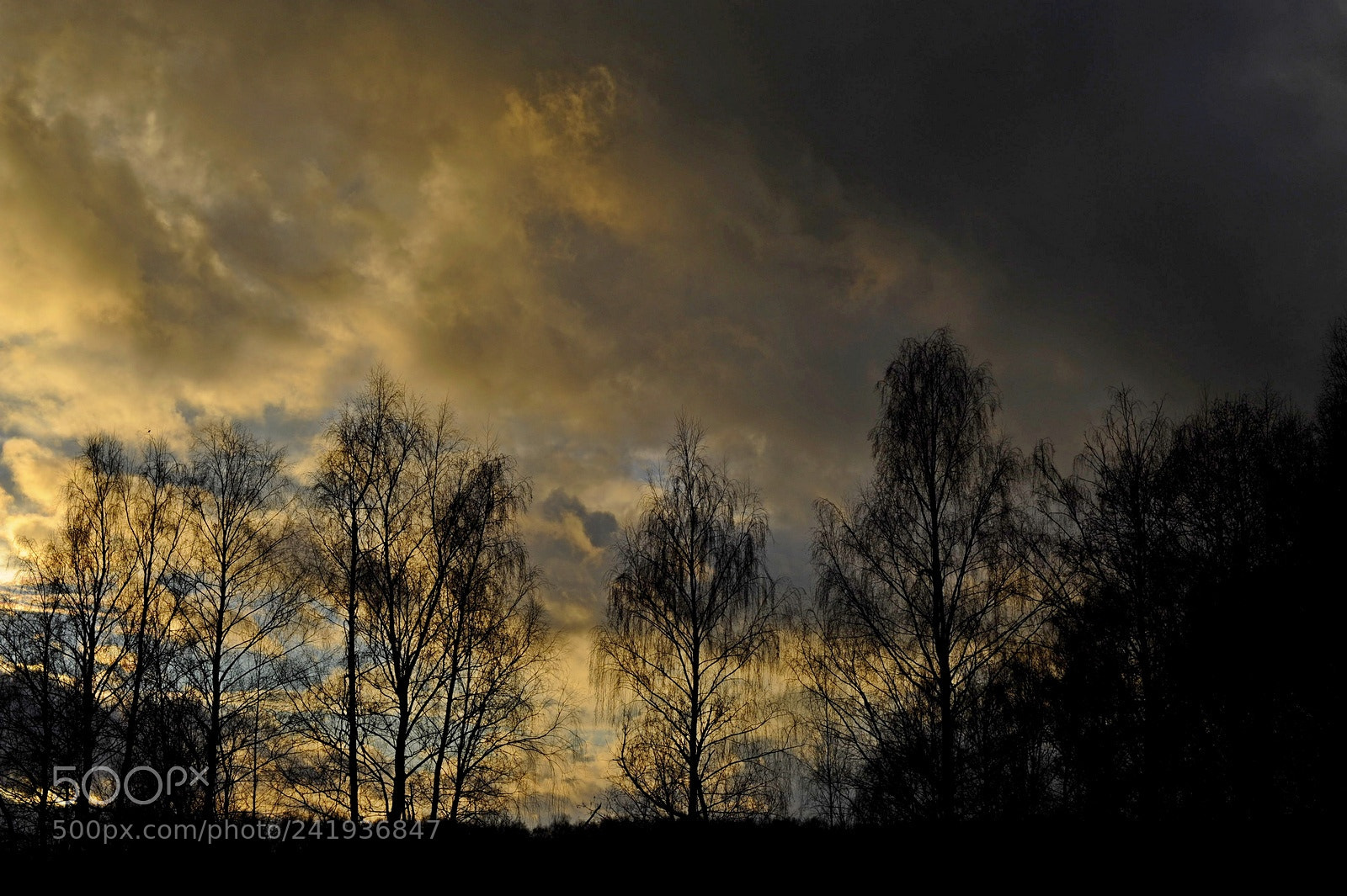 Nikon D700 sample photo. Evening photography