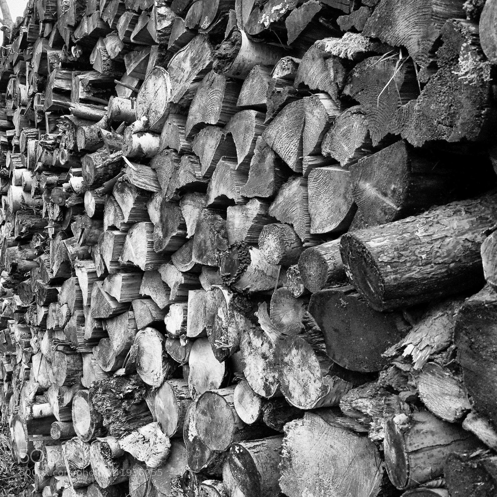 Ricoh GR II sample photo. Holz, waldnaabaue tirschenreuth photography