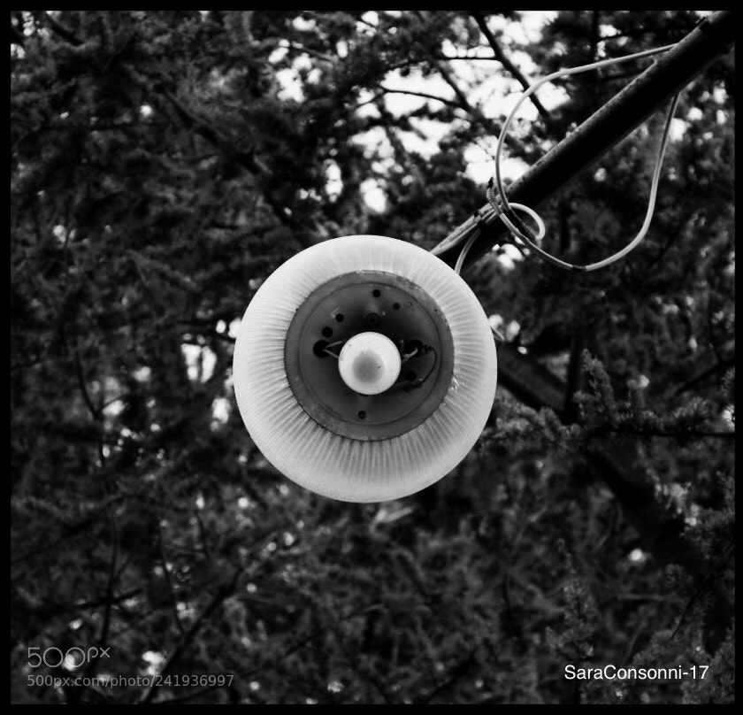 Nikon D7200 sample photo. Illuminazione photography