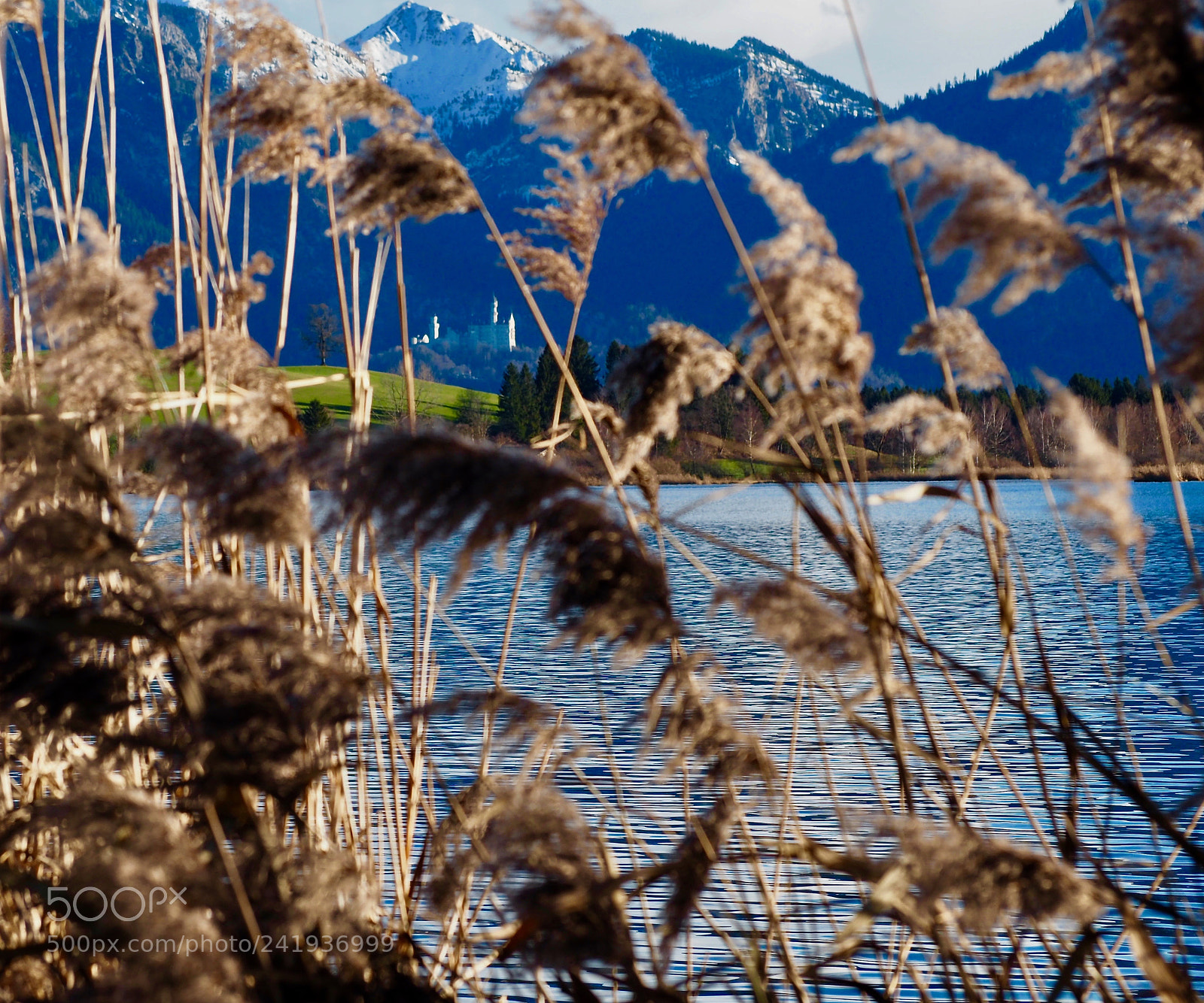 Olympus OM-D E-M5 II sample photo. Neuschawanstein castle photography