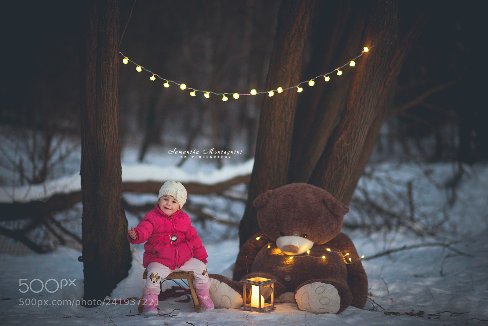 Nikon D810 sample photo. Winter's tale photography