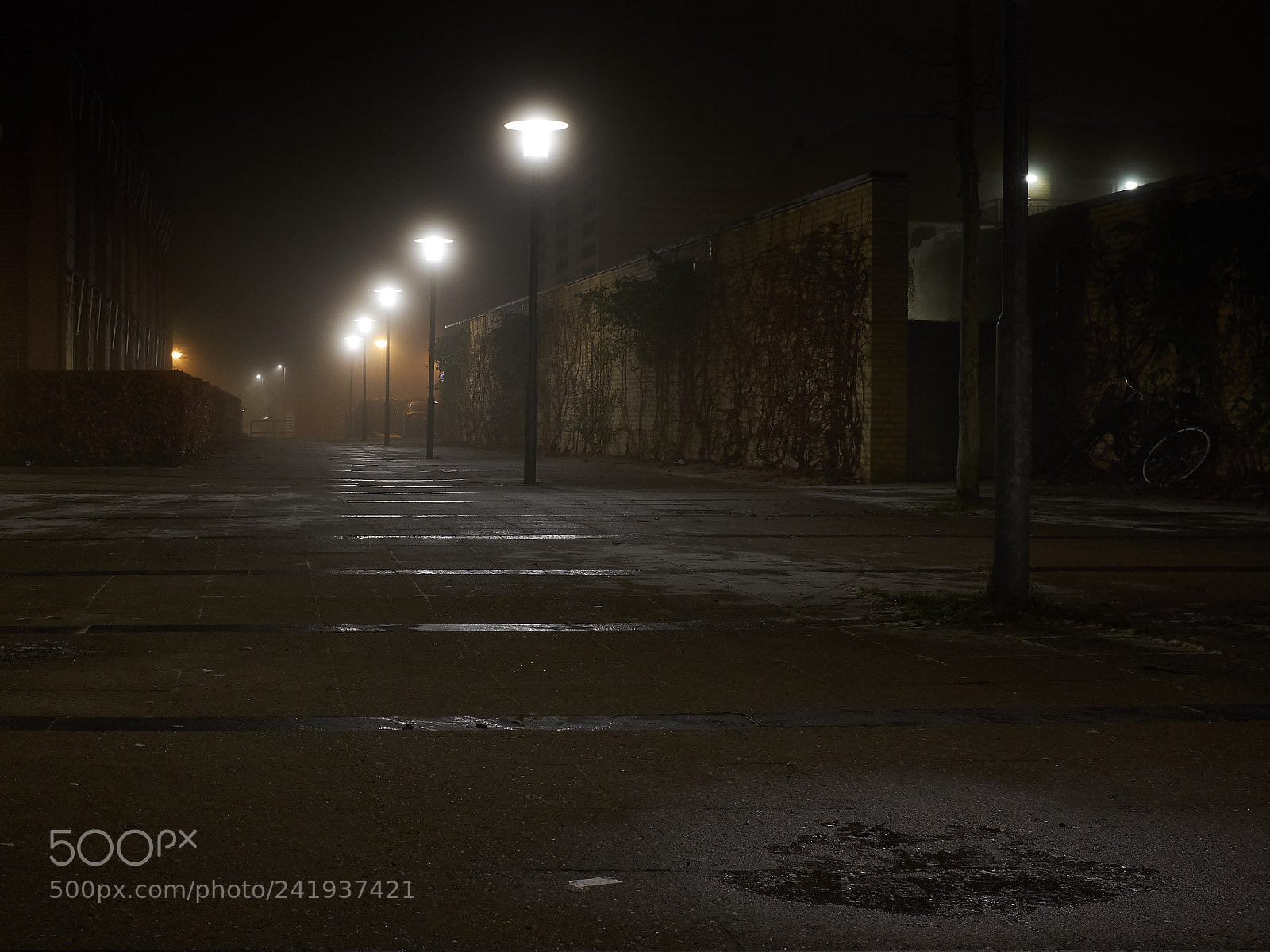 Fujifilm X100F sample photo. Foggy night photography