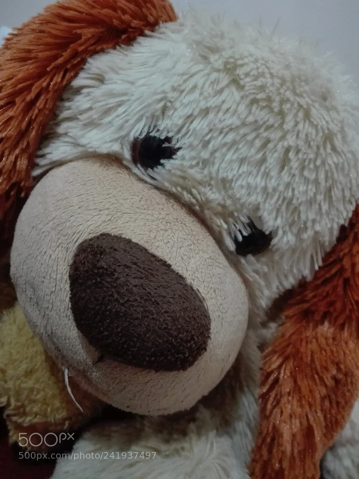 HUAWEI Y6II sample photo. Untitled photography