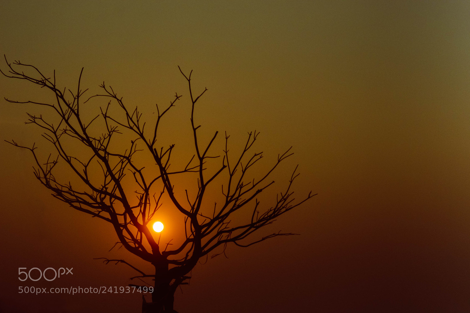 Nikon D3200 sample photo. Chasing the sunset! photography
