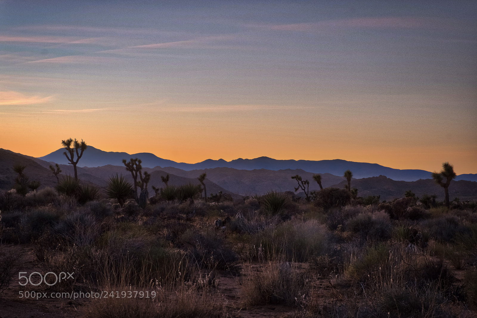 Fujifilm X-T2 sample photo. Sunset over joshua tree photography