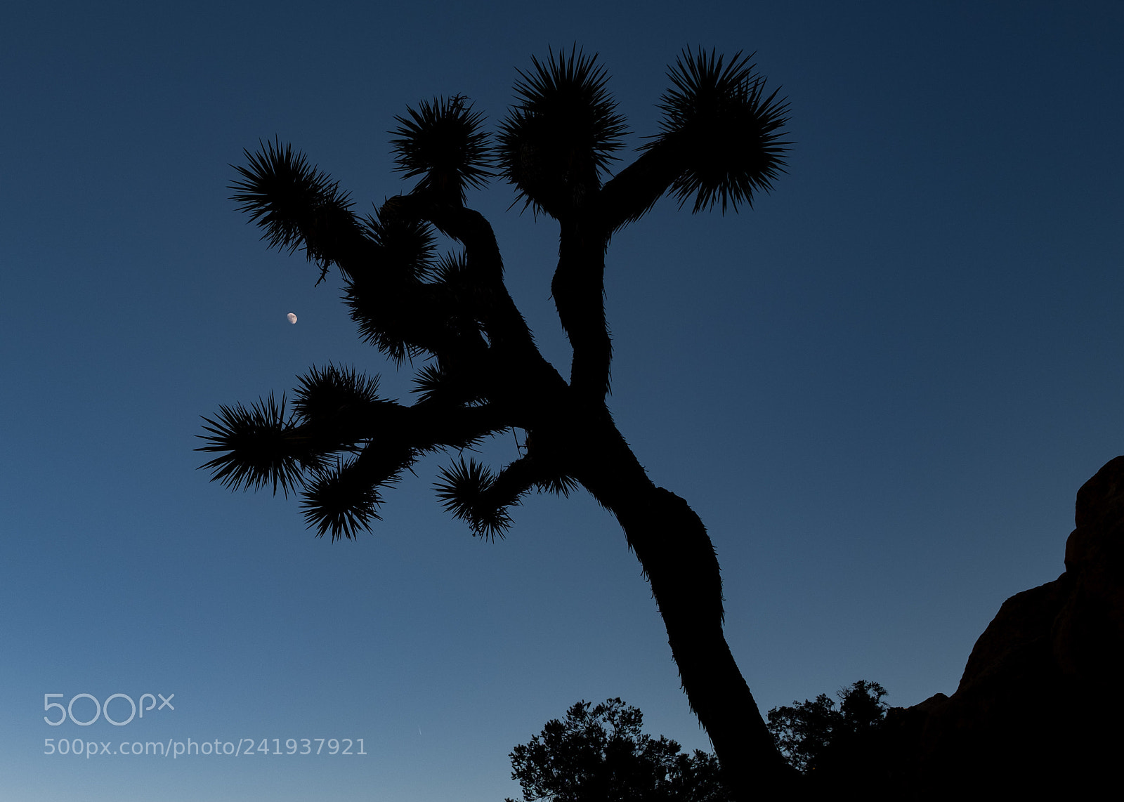 Fujifilm X-T2 sample photo. On another planet photography