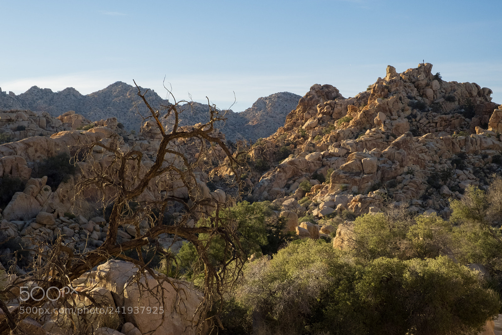 Fujifilm X-T2 sample photo. Man on a mountain photography