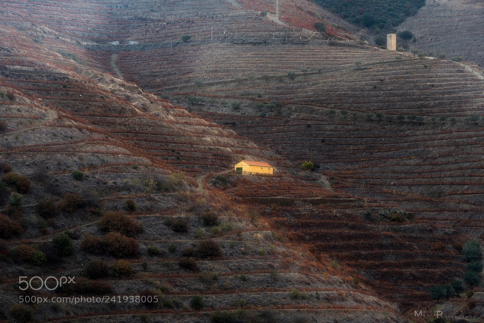 Nikon D810 sample photo. The heart of douro photography
