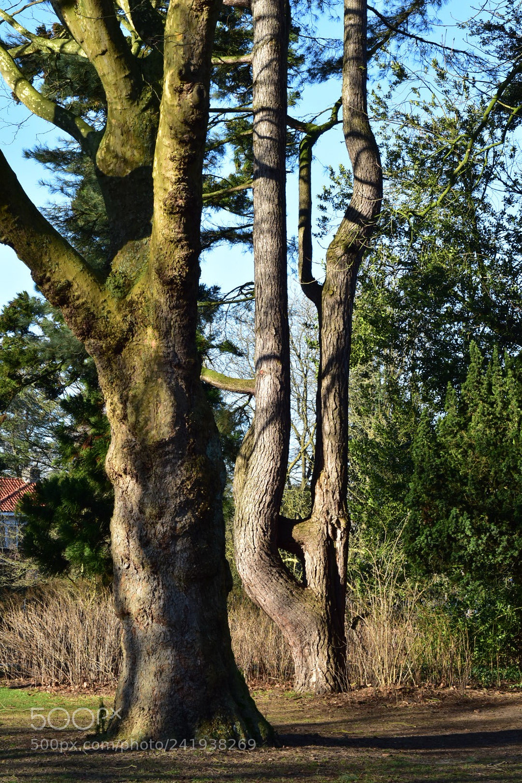 Nikon D5500 sample photo. Untitled photography