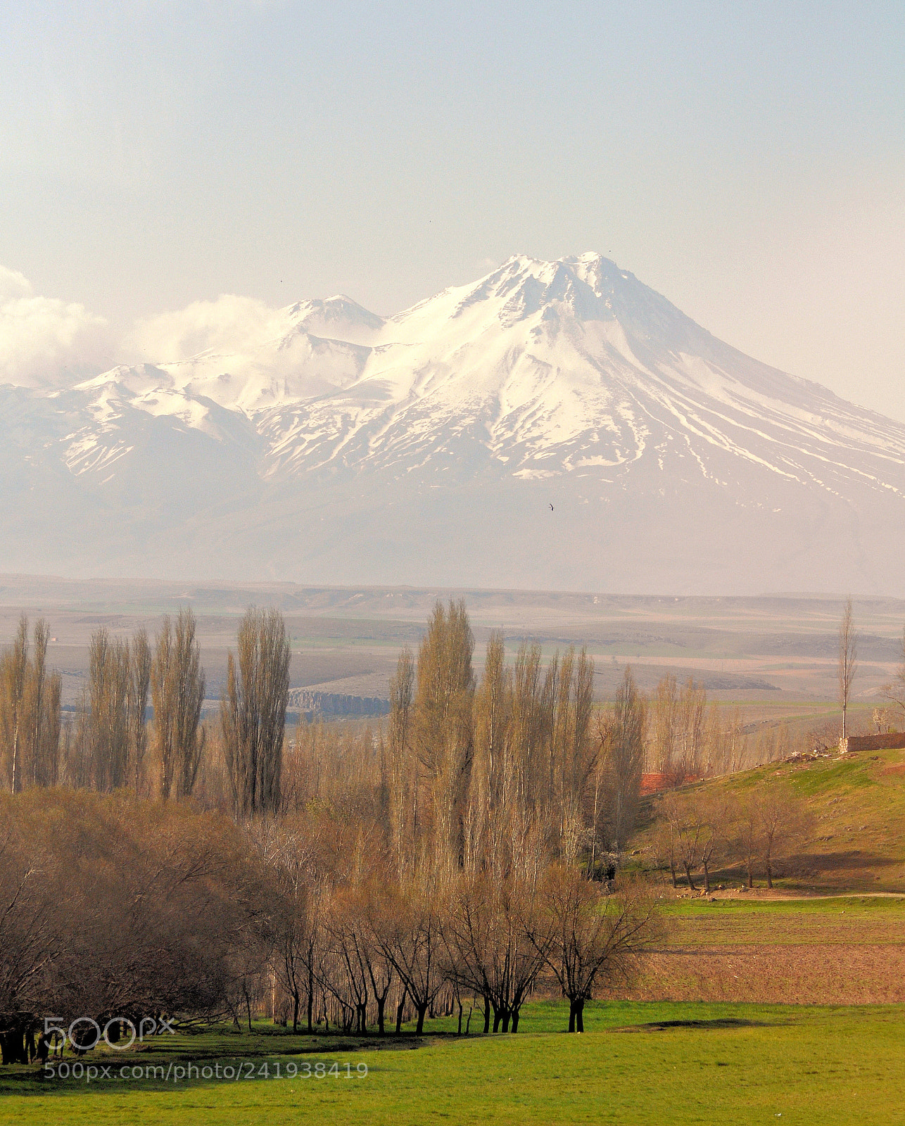 Nikon D5000 sample photo. Kilimanjaro photography