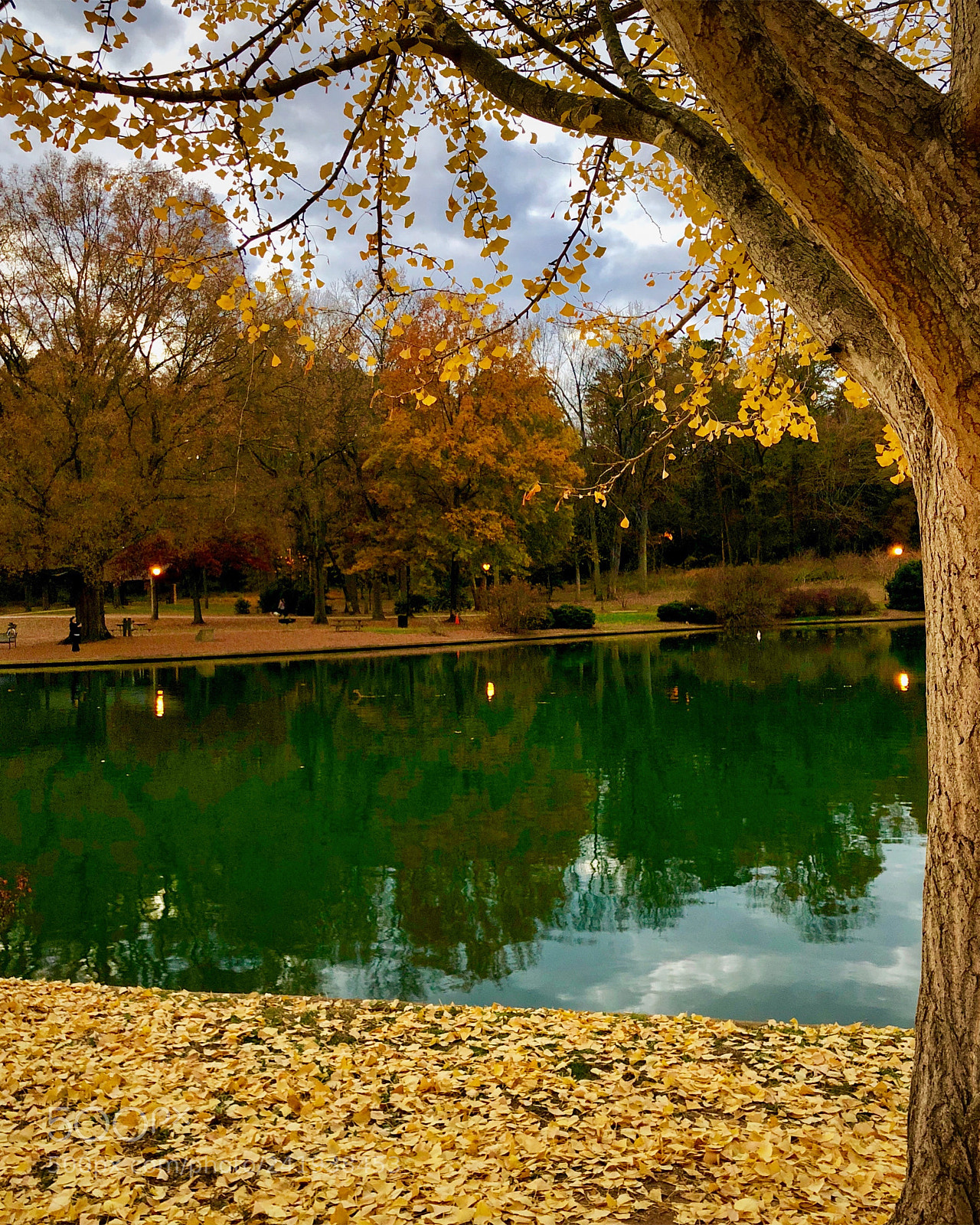 Apple iPhone X sample photo. Freedom park foliage photography