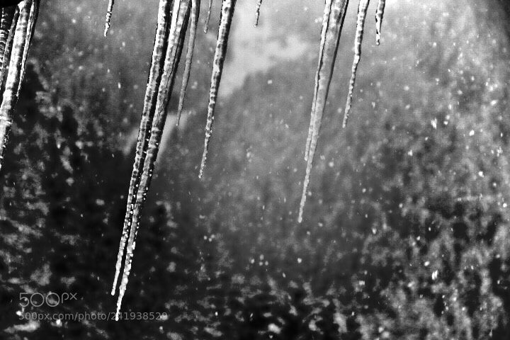 Canon EOS 60D sample photo. ❄️ photography