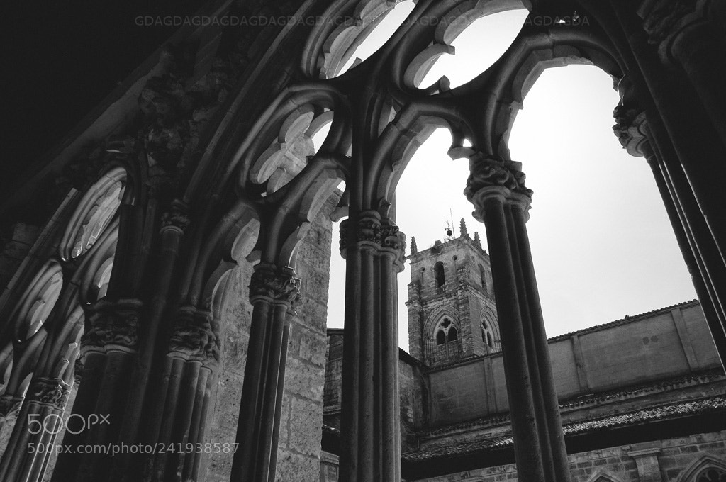 Nikon D90 sample photo. El claustro, iglesia de photography